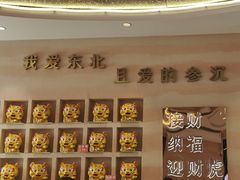 -遇东北林区铁锅炖(南开店)
