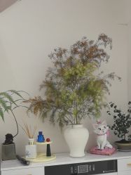 -WENDY·温迪皮肤管理