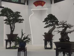 -东平国家森林公园