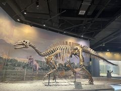 -辽宁古生物博物馆