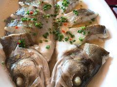 清蒸长江鲈鱼-莆鑫海鲜城(浏河店)