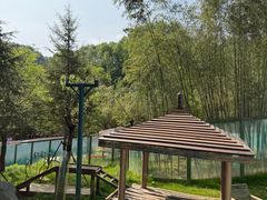 -栾川竹海野生动物园