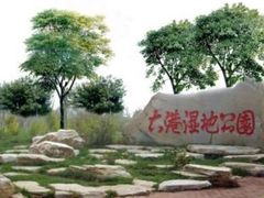 -大港湿地公园