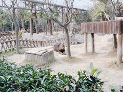 -上海野生动物园