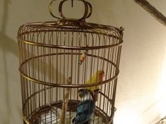 -小厨娘淮扬菜(六合欢乐港店)