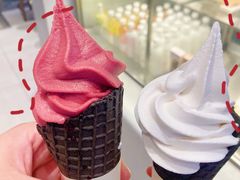 -喜茶(合肥中环城店)