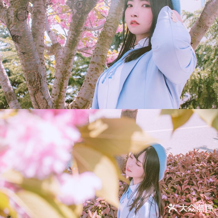 青岛超小众的樱花拍照地,重樱太美啦!而且没人哦!