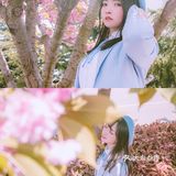 青岛超小众的樱花拍照地，重樱太美啦！而且没人哦！