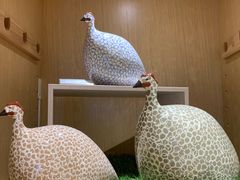 -伊东屋(本店)