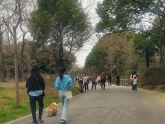 -蜀冈西峰生态公园