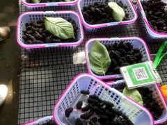 -樱桃山旅游景区