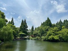 -上海滨江森林公园