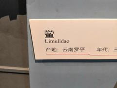 -重庆自然博物馆(新馆)