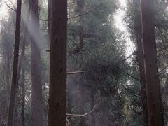 -山王坪喀斯特国家生态公园