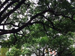 -浙江大学(玉泉校区)