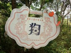 -翠屏湖景区