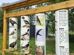 -绿堤公园