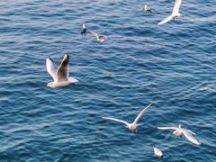 -青岛第三海水浴场