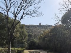 -上海佘山茂御臻品之选酒店(原佘山艾美酒店)