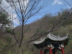 -王顺山国家森林公园