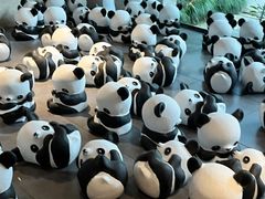 -杭州植物园