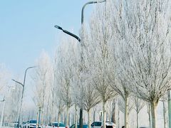 -哈尔滨大剧院