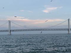 -星海广场