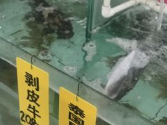 -寻味顺德·南记酒家·传统顺德菜·鱼生(广源路店)