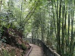 -沐川竹海旅游景区