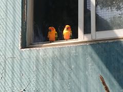 -无锡动物园·太湖欢乐园