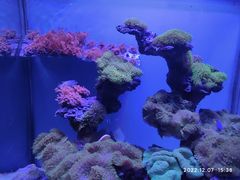 -上海海昌海洋公园