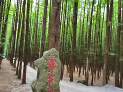 -山王坪喀斯特国家生态公园