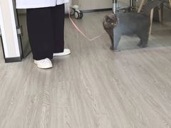 -派特宠物医院(海岸城店)