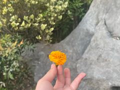 -杭州半山国家森林公园