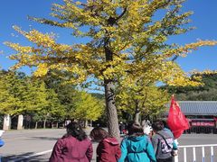 -洛阳白云山景区
