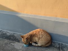 -龙华寺