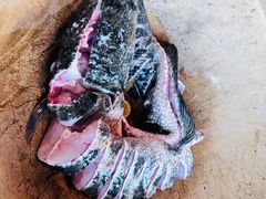 -云中鱼蒸汽石锅鱼(川沙百联店)