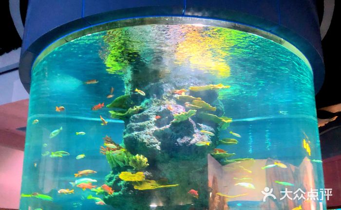 福州罗源湾海洋世界旅游区图片