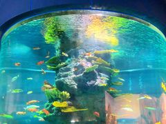 -福州罗源湾海洋世界旅游区