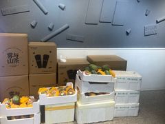 -雾与山茶(大禹城店)