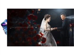 -婚礼美学
