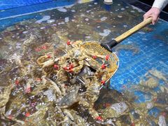 -前王院•巧克力海鲜市集餐厅(万平口店)