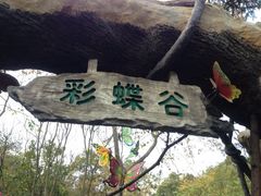 iphone_upload_pic-天目湖山水园