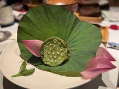 -叶叶菩提(太原别墅店)