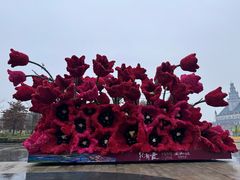 -荷兰花海