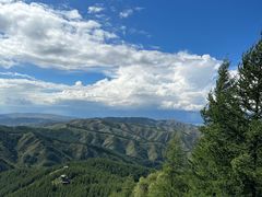 -苏木山森林公园