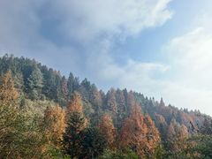 -山王坪喀斯特国家生态公园
