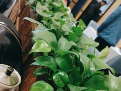 -眉州东坡(春秀路店)