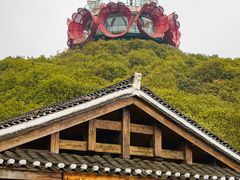 -贵州百里杜鹃风景名胜区