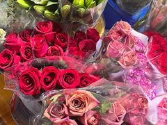 -循礼门鲜花花市(武汉循礼门店)